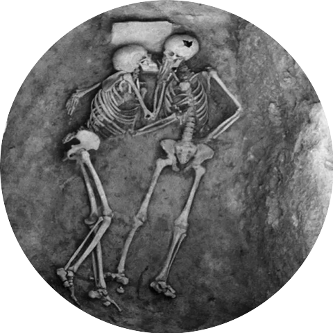 xenlover