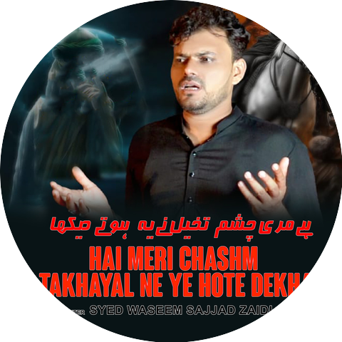Syed Waseem Sajjad Zaidi