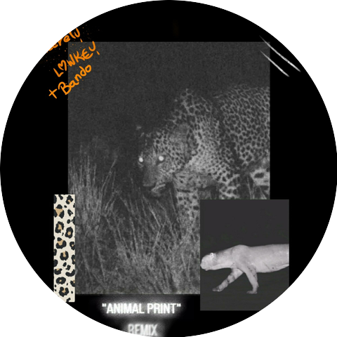 Lowkey, BandoTheReal