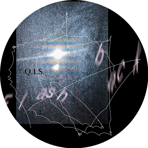 Q.I.S.