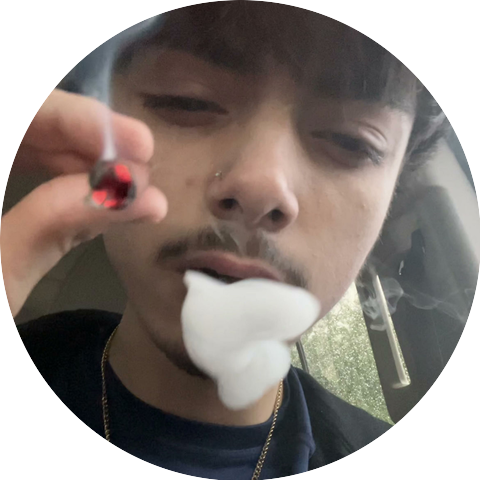 405diego
