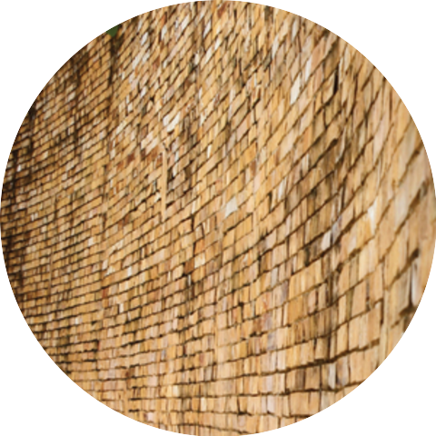 Tomas Phillips, Marihiko Hara