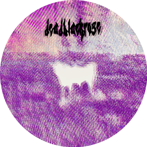 deadblackrose & V4NT4