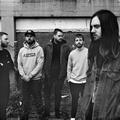 While She Sleeps
