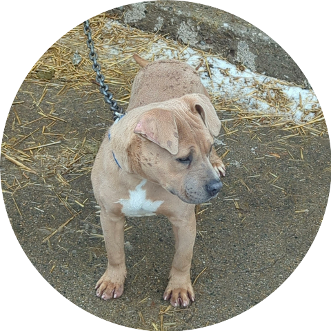 SK Fam Entertainment