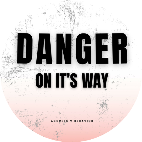 Aggressiv Behavior