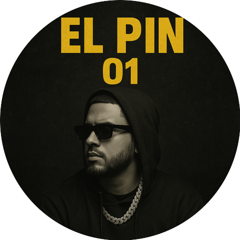 el pin 01