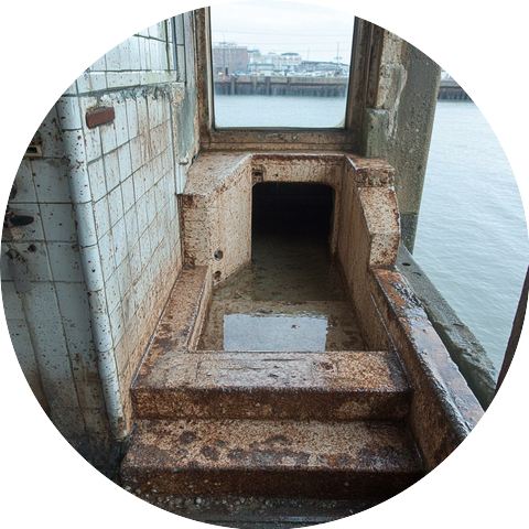 The Silentfang Guardians