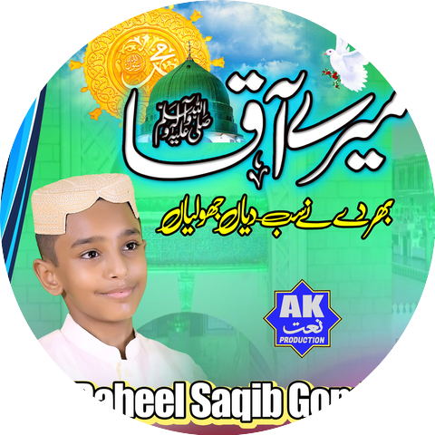M. Raheel Saqib Gondal