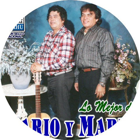 Mario y Mario