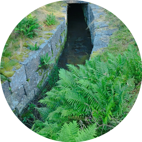 Soldiers from the past