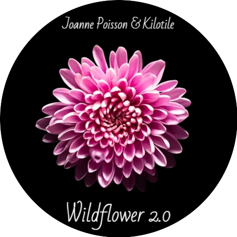 Joanne Poisson, Kilotile