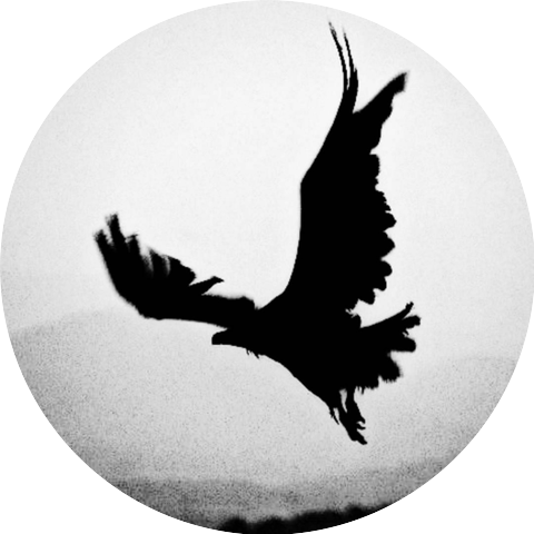 lykia, BRNNT, yannik