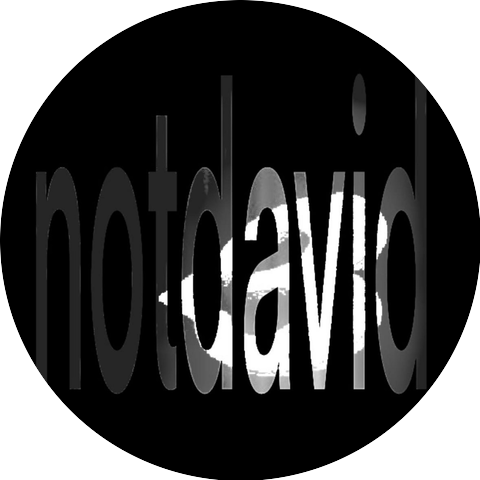 notdavid