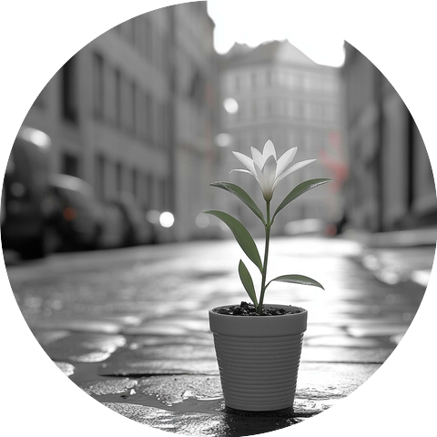 Mister Brave Panther