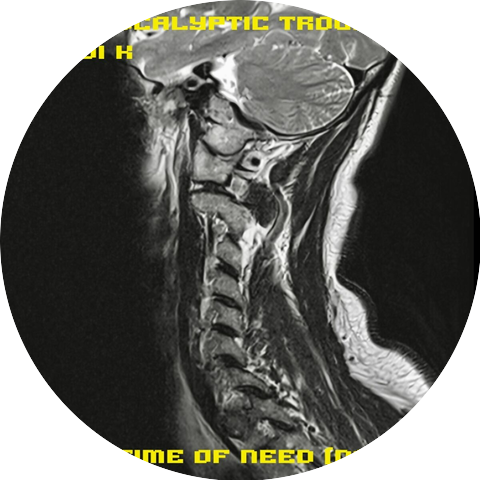 the apocalyptic troubadour, Andi K