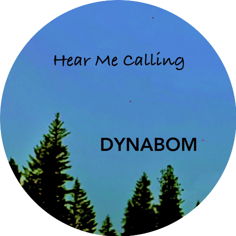 Dynabom