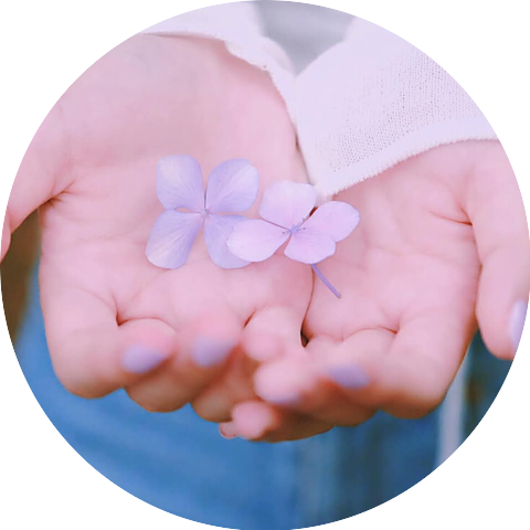 Ceplik Cilik
