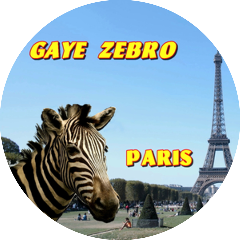 Gaye Zebro