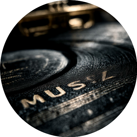 Professor Proud Macaw