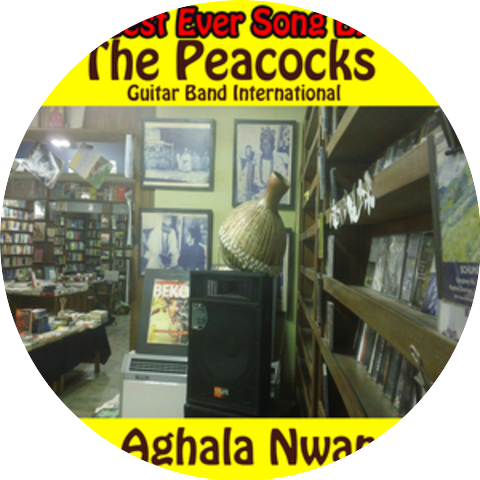 Peacocks Guitar Band International