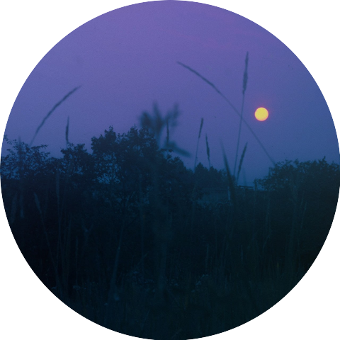 sxpl (1649682918), nakanishi