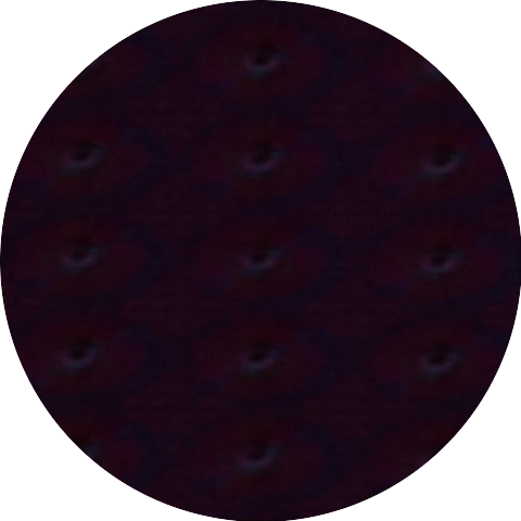 DYRE WOLF & ARTcatch & 7L1fes