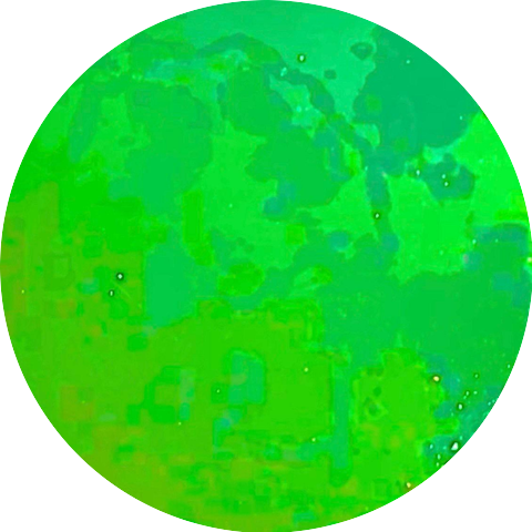 DYRE WOLF & ARTcatch