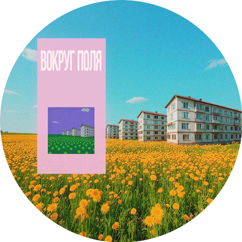 Вокруг Поля