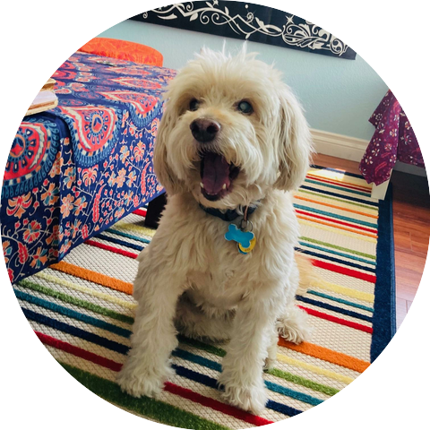 David Hopkins and the Allgemeine Musikalische Zeitung