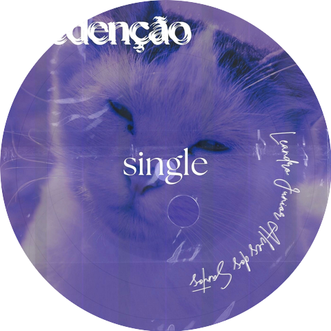 Leandro Junior Alves Dos Santos