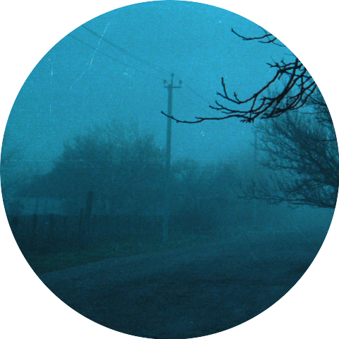 nleave, pale horizon