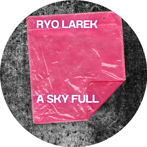 ryo larek