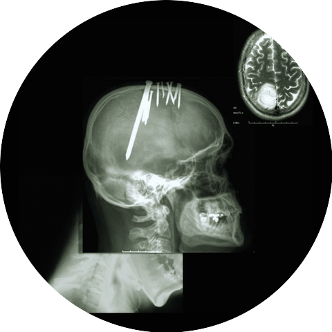 MAMMOTH., Colourd Noyz