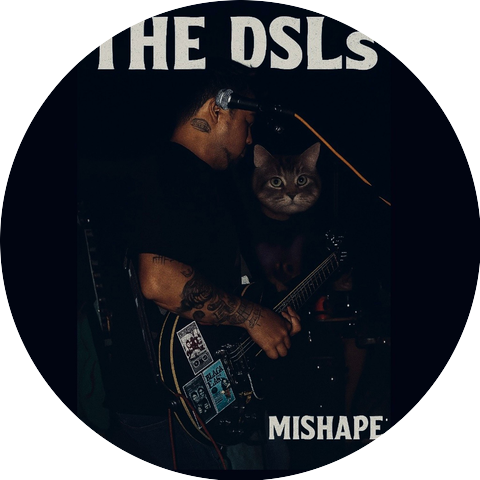 The DSLs