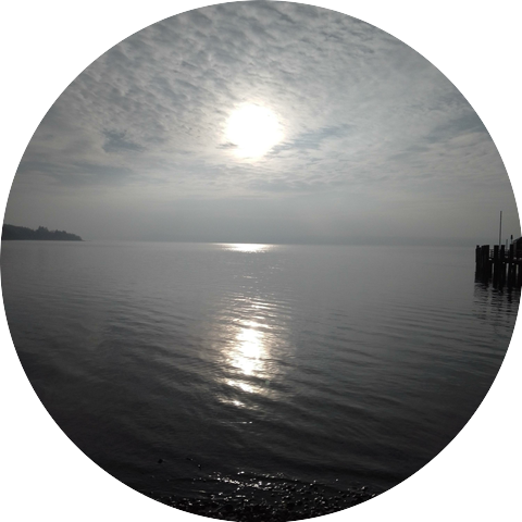 Roger C. Frisch PROJECT