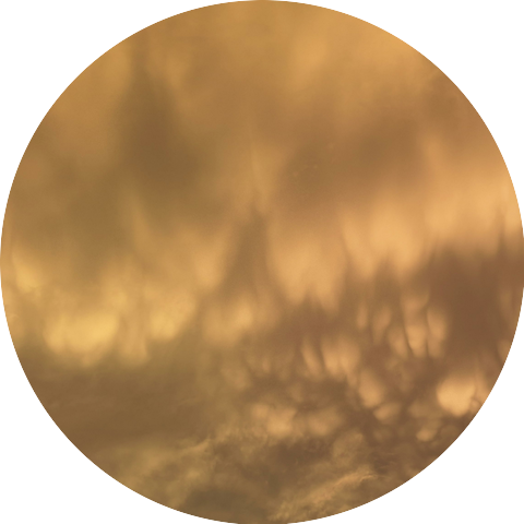 Armando Amparan con IA