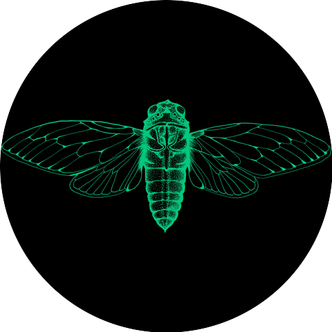 Cicada Detroit