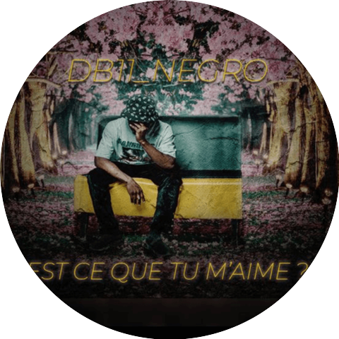 DBILNEGRO