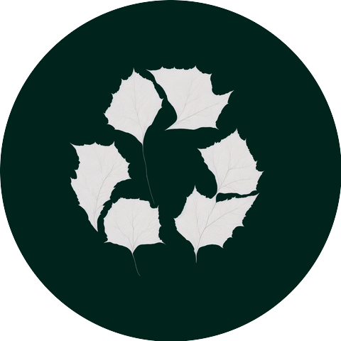 МС КАРАЛ feat. ICN