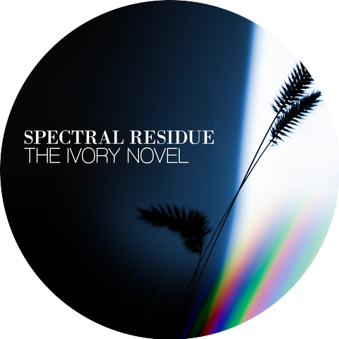 The Ivory Novel
