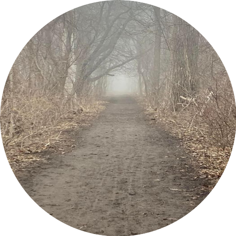 Leopards on the Moon