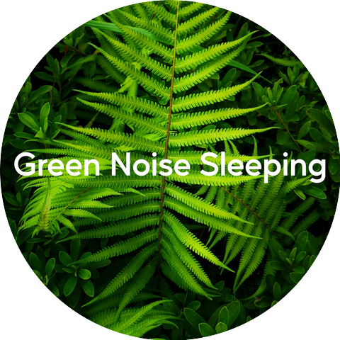 Proper Noises, Forest Sounds, The Natural Healing