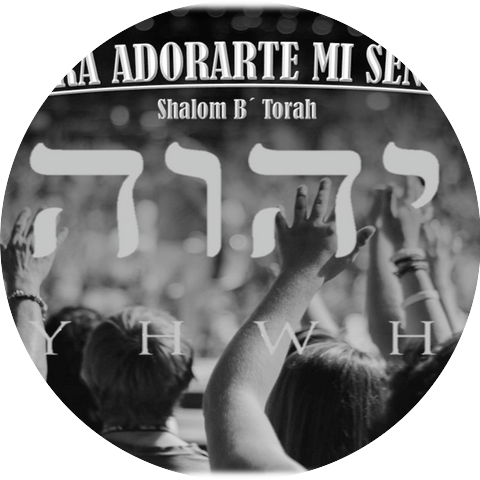Shalom B' Torah