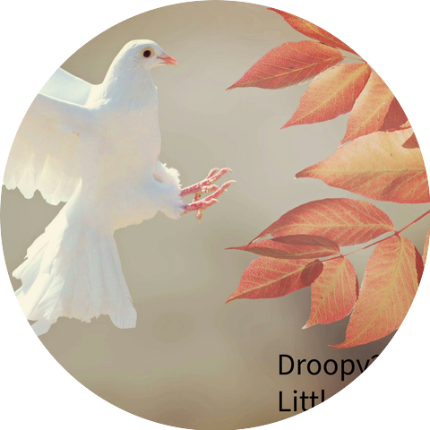 Droopy2012