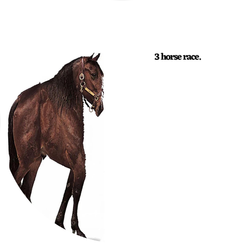 3 Horse Race
