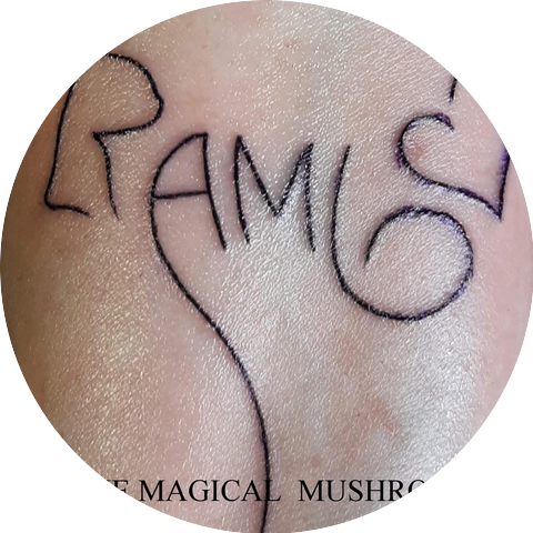 Rambo & the Magical Mushrooms