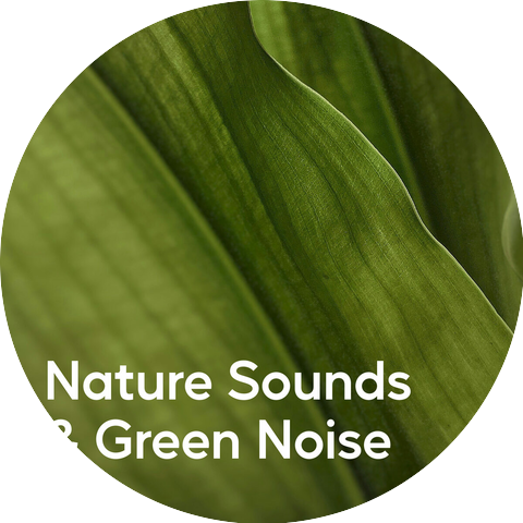 Deep Sleep Nature Sounds, Nature Sounds to Relax