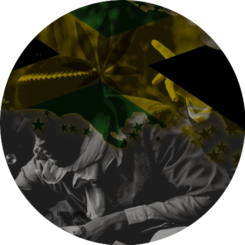 Trenchtown Bredda