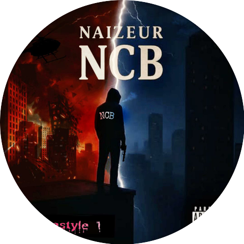 NaiZeuR
